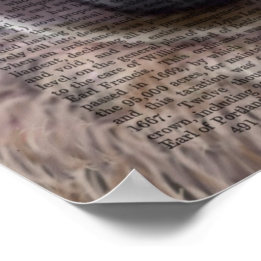 Gekke Llama Poster (Hoek)