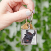 Gekke Llama Sleutelhanger (Hand)