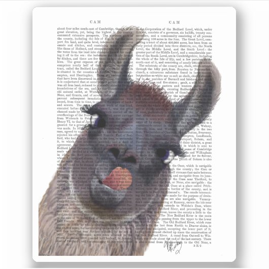 Gekke Llama Sticker (Voorkant)