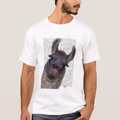 Gekke Llama T-shirt (Voorkant)