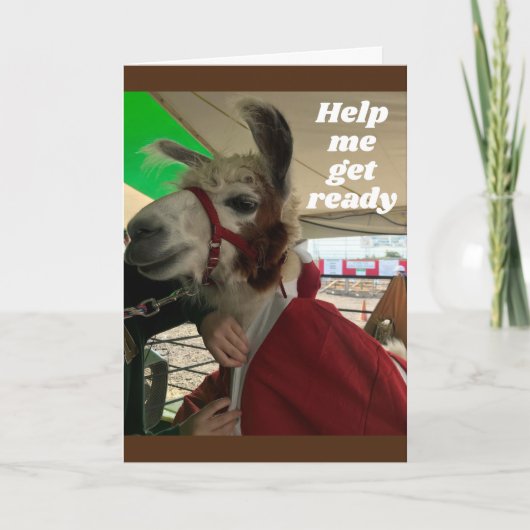 **GEKKE LLAMA** ZIE GEWELDIGE BIRTHDAAGKAART KAART (Voorkant)