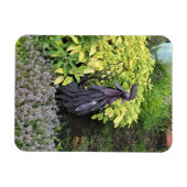 Gekke metalen rooster magneet (Horizontaal)