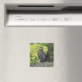 Gekke metalen rooster magneet (Insitu (Vaatwasser))