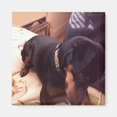 Gekke Min Pin Magneet (Voorkant)