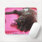 gekke muismat (Met muis)