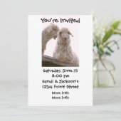 Gekke oude geiten kaart (Staand voorkant)