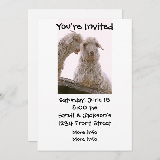 Gekke oude geiten kaart (Voorkant / Achterkant)