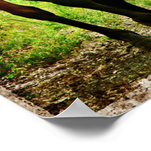 Gekke paard poster (Hoek)