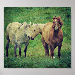 Gekke paarden poster