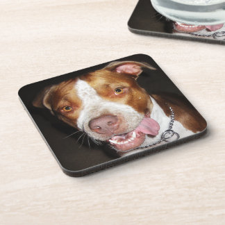 Gekke Pitbull-portret Bier Onderzetter