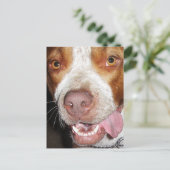 Gekke Pitbull-portret Briefkaart (Staand voorkant)