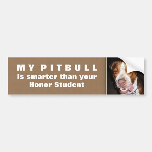 Gekke Pitbull-portret Bumpersticker (Voorkant)