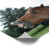 Gekke Poster van Horse; Kies een achtergrondkleur! (Hoek)