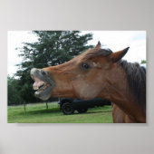Gekke Poster van Horse; Kies een achtergrondkleur! (Voorkant)