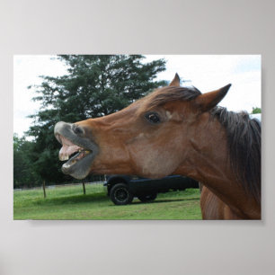 Gekke Poster van Horse; Kies een achtergrondkleur!