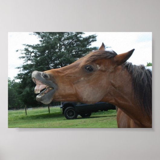 Gekke Poster van Horse; Kies een achtergrondkleur! (Voorkant)