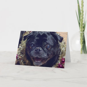 Gekke Pug Kerstkaart Feestdagen Kaart