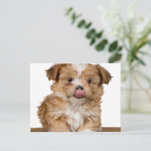 Gekke puppy die likt in zijn neus briefkaart (Staand voorkant)