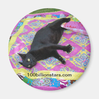 Gekke Quilt Kat Magnet