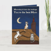 Gekke Schattigee Cat Mewing Rooftops Moederdag Kaart (Voorkant)