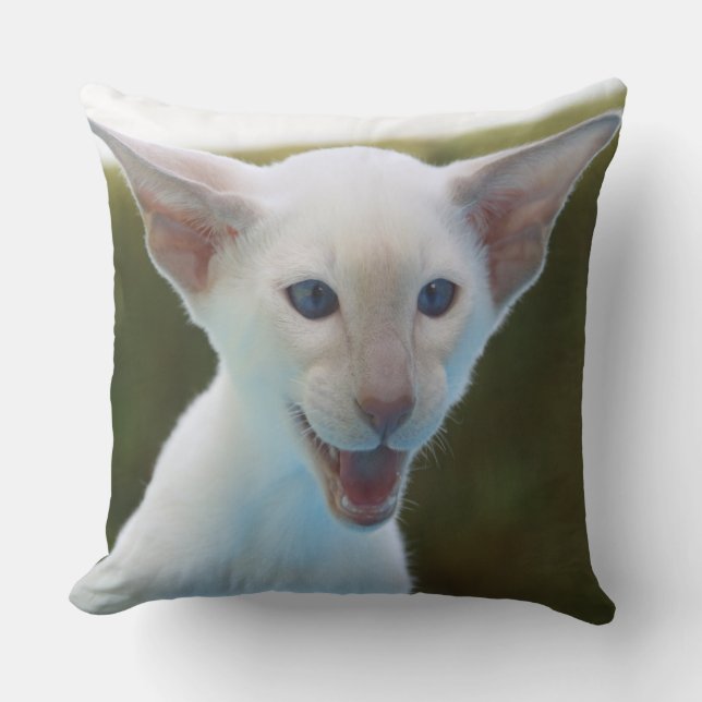 Gekke Siamese Kussen (Voorkant)