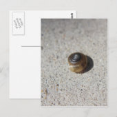 gekke slak briefkaart (Voorkant / Achterkant)