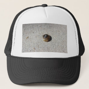 gekke slak trucker pet