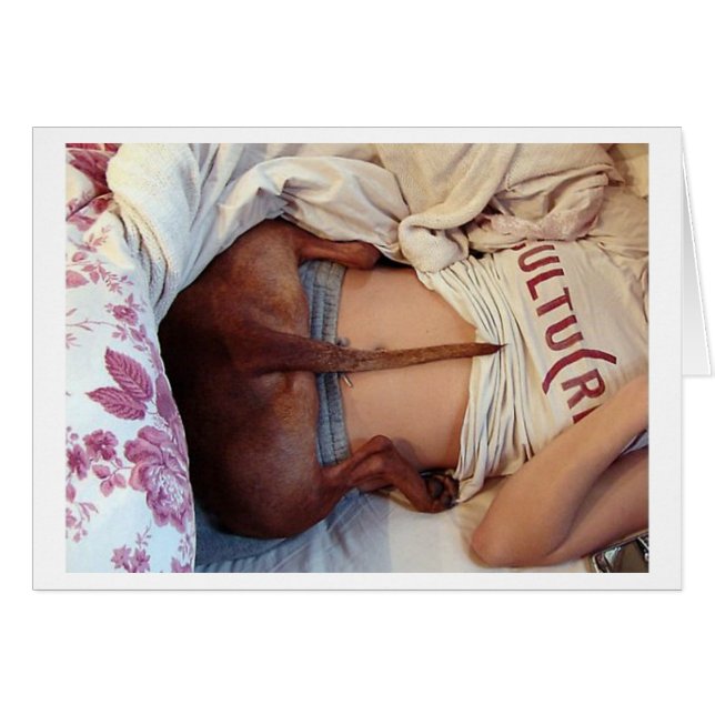 Gekke Slaperige Pitbull! (Voorkant Horizontaal)