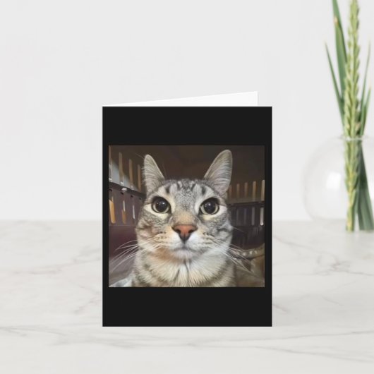 Gekke Staring Cat Meme Kaart (Voorkant)