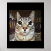 Gekke Staring Cat Meme Poster (Voorkant)