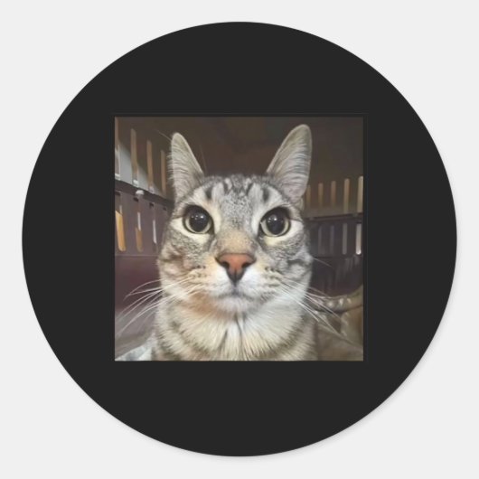Gekke Staring Cat Meme Ronde Sticker (Voorkant)