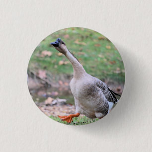 Gekke verguld ketting ronde button 3,2 cm