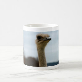 Gekke vogelfoto | Foto van Ostrich Face Wildlife Koffiemok