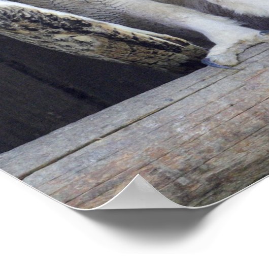 Gekke vraag poster (Hoek)