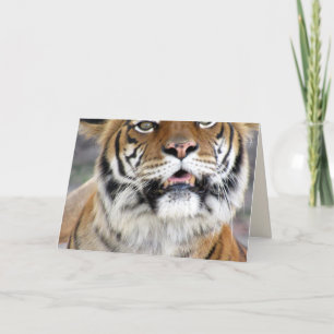 Gekke Wenskaart Tiger Kaart