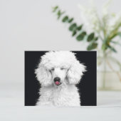 Gekke Witte Poedel Briefkaart (Staand voorkant)