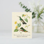  gekken van het witte Throat gebergte Briefkaart (Staand voorkant)