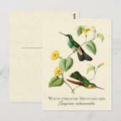  gekken van het witte Throat gebergte Briefkaart (Voorkant / Achterkant)