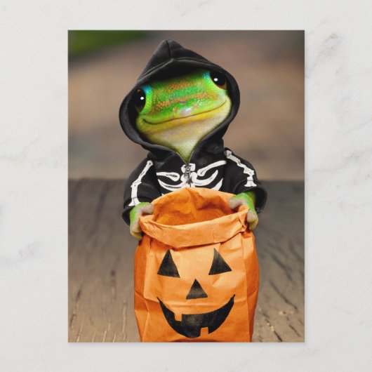 Gekkenskelet Uitnodiging Briefkaart (Voorkant)