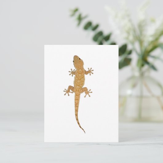 gekko briefkaart (Staand voorkant)