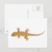 gekko briefkaart (Voorkant / Achterkant)