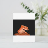 gekko briefkaart (Staand voorkant)