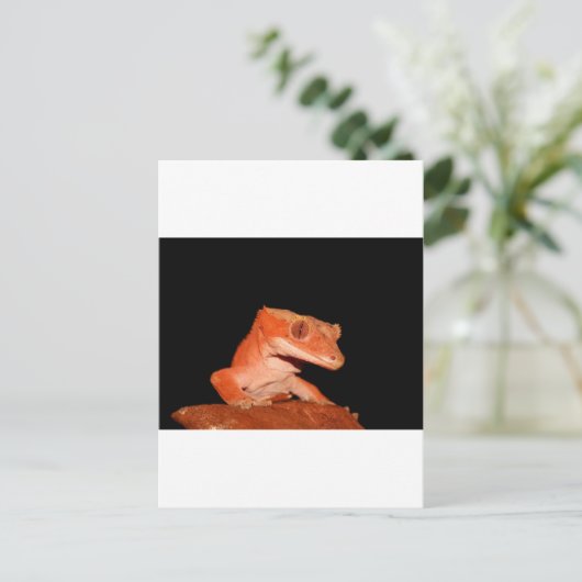 gekko briefkaart (Staand voorkant)
