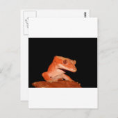 gekko briefkaart (Voorkant / Achterkant)