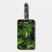 gekko groene taro bagagelabel (Achterkant verticaal)