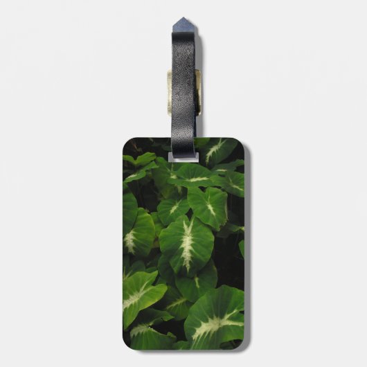 gekko groene taro bagagelabel (Achterkant verticaal)