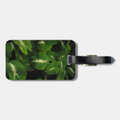 gekko groene taro bagagelabel (Achterkant horizontaal)