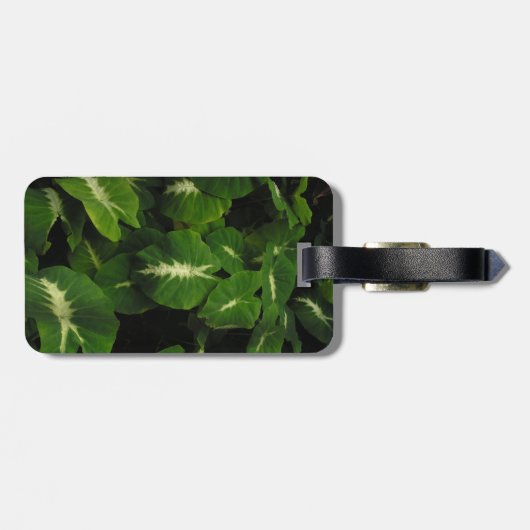 gekko groene taro bagagelabel (Achterkant horizontaal)