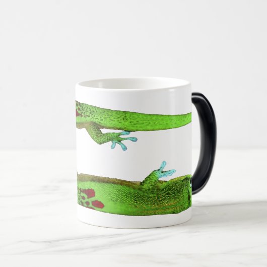 GEKKO MORNING MAGISCHE MOK (Voorkant rechts)