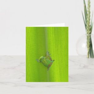 Gekko Notecard Kaart